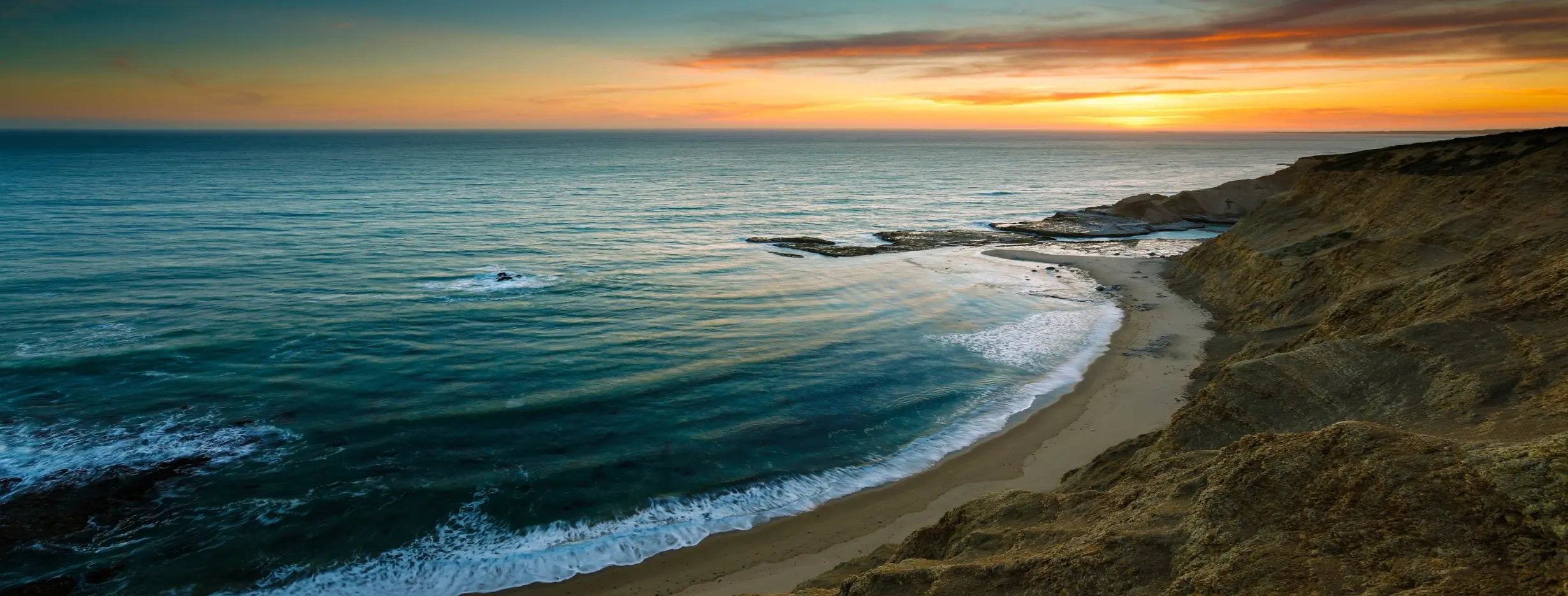 Image for Coastal Beauty